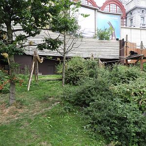 [2017] Squirrel monkey and bear enclosure