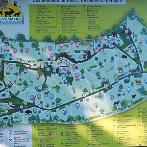 Animal park map, 2023-06-24