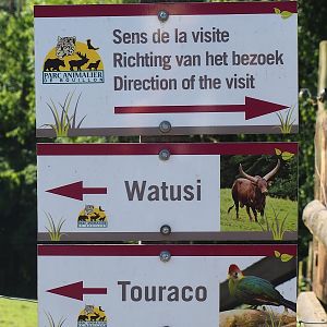 Example of animal park road signs, 2023-06-24