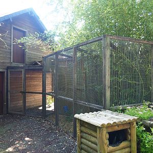 Primate, genet and jaguar building and one of the callitrichid outdoor exhibits, 2023-06-24