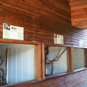 Callitrichid indoor exhibits, 2023-06-24