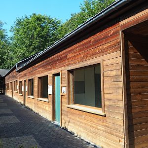 Primate, Genet and Jaguar building, 2023-06-24