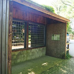 Jaguar exhibit viewing window, 2023-06-24