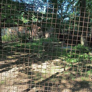 First giant anteater exhibit, 2023-06-24
