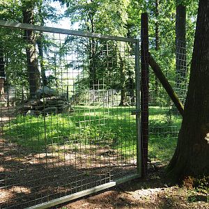 Second giant anteater exhibit, 2023-06-24