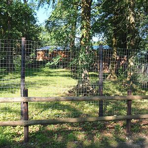 Future cheetah exhibit, 2023-06-24