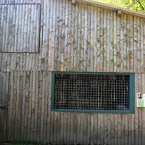 Ostrich barn, 2023-06-24
