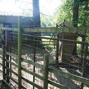 Ostrich separation paddock, 2023-06-24