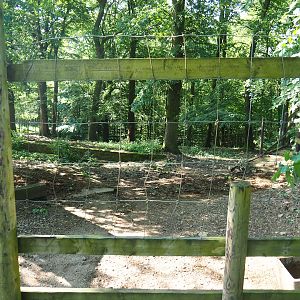 Ostrich and Blue wildebeest paddock, 2023-06-24