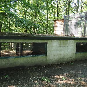 Pretty poor Blue wildebeest and Sable antelope barn, 2023-06-24