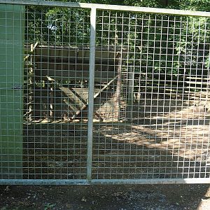Ostrich separation paddock, 2023-06-24