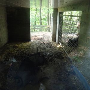 Blue wildebeest stall, 2023-06-24