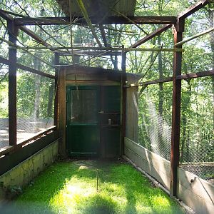 Swift parrot aviary, 2023-06-24