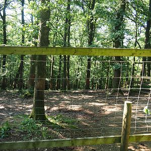 Sable antelope paddock, 2023-06-24