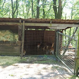 Kafue Lechwe shelter, 2023-06-24