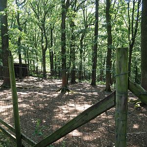 Kafue lechwe paddock, 2023-06-24