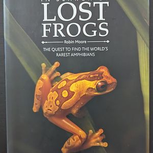 In Search of Lost Frogs: The Quest To Find The World's Rarest Amphibians