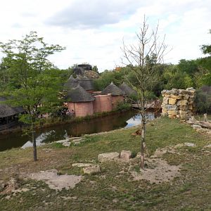 [2017] Lion enclosure