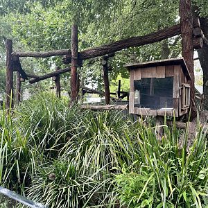 Nepalese Red Panda Exhibit