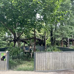 Nepalese Red Panda Exhibit