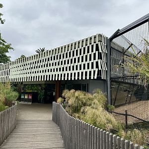 African Lion Viewing House