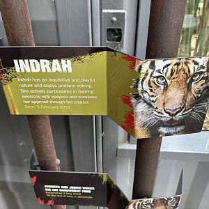 Sumatran Tiger Sign