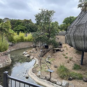 Walkthrough Lemur Exhibit