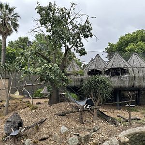 Walkthrough Lemur Exhibit
