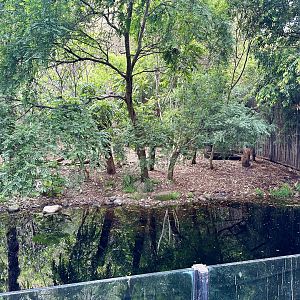 Sumatran Tiger Exhibit