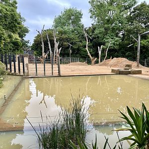 Asian Elephant Exhibit (Bull Paddock)