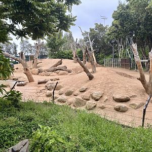 Asian Elephant Exhibit (Cow Paddock)