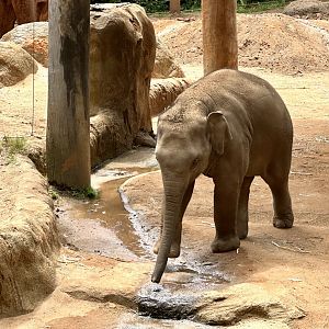 Kati (10 months old)