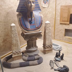 Staten Island Zoo (2022) - Naja annulifera + the notorious "Pharaoh" terrarium