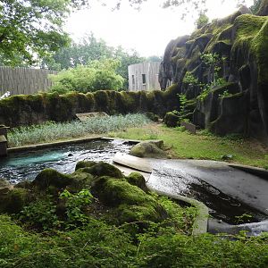[2017] Ringed seal enclosure