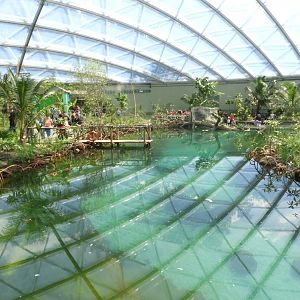 [2017] View in Burger's mangrove