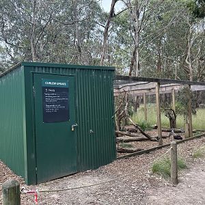 Male Bush stone-curlew aviary (Koala Conservation Reserve, Phillip Island)