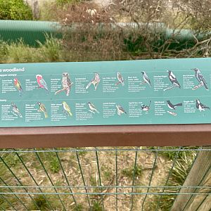 Woodland Bird Species Sign (Koala Conservation Reserve, Phillip Island)
