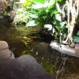 Skansen-Akvariet - Mixed turtle exhibit