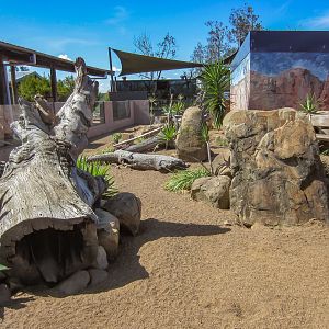 Meerkat enclosure (meerkat on log on left)