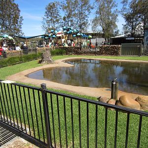Alligator enclosure