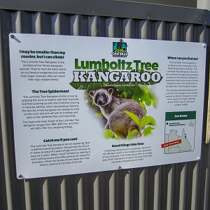 Signage for Lumholtz Tree Kangaroo
