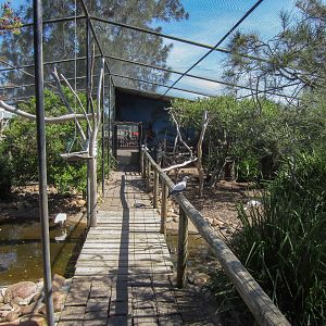 Interior of Walkthrough aviary