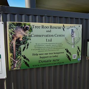 Signage for Lumholtz Tree Kangaroo