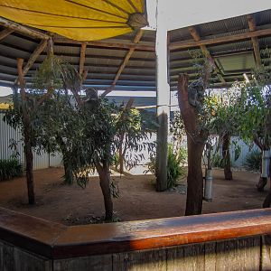 Interior of Koala House