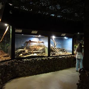 Interior of Reptile House