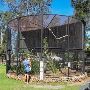 Macaw Aviary