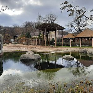 No Elephants at Elephant Crossing