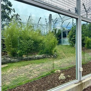 Sumatran Tiger Exhibit 2