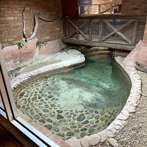 Freshwater Crocodile Pool