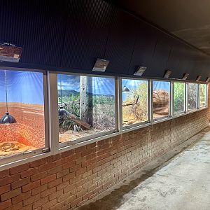 Reptile House (Inside)